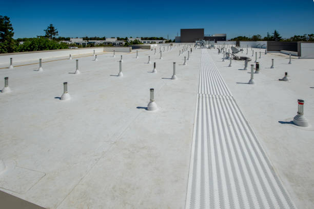Best Skylight Installation and Repair  in Whitemarsh Island, GA